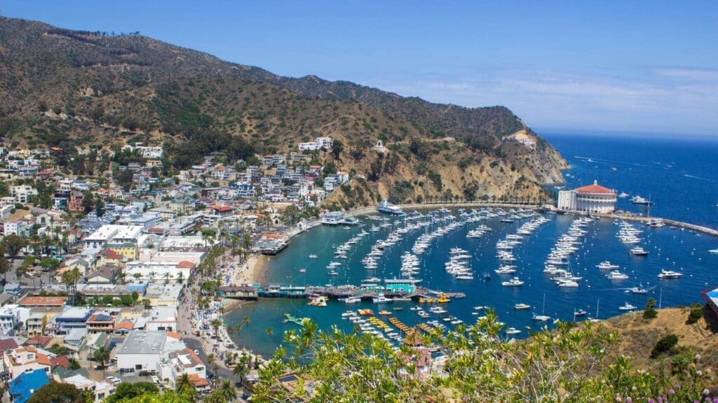 Catalina Island Tour