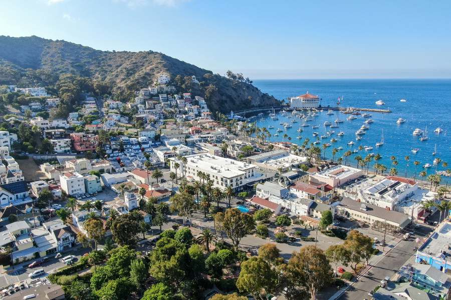 catalina-views