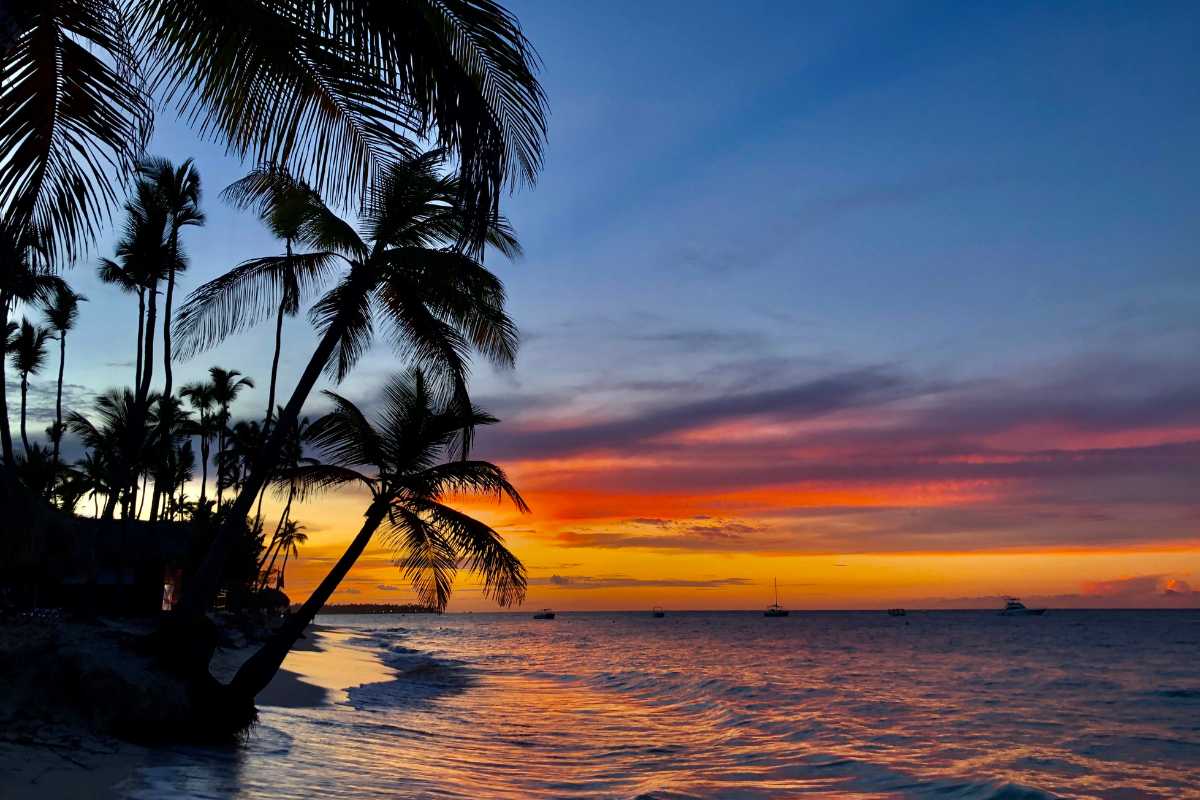 palm-beach-transportation