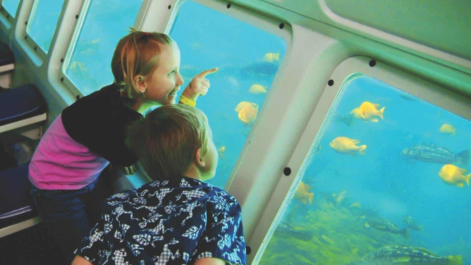 Underwater Sub Expedition